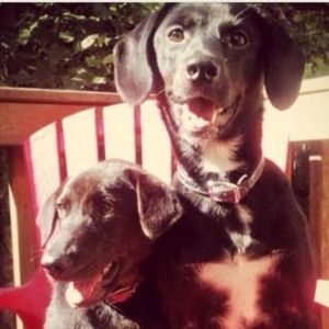 Meet your Posher, Rebecca